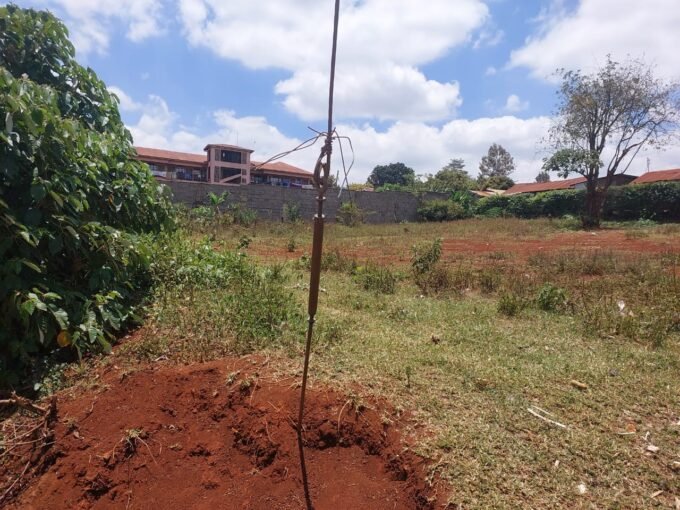 Prime plot for sale 100X100 Gichagi